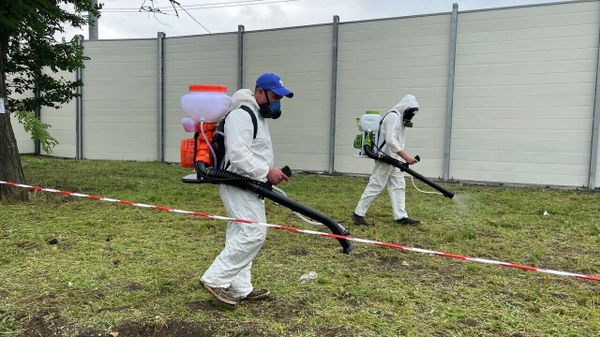 Борьба с амброзией в Симферополе