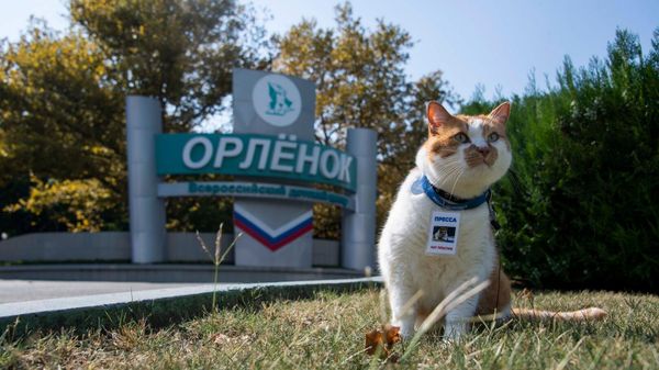 Кот Мостик в Орленке