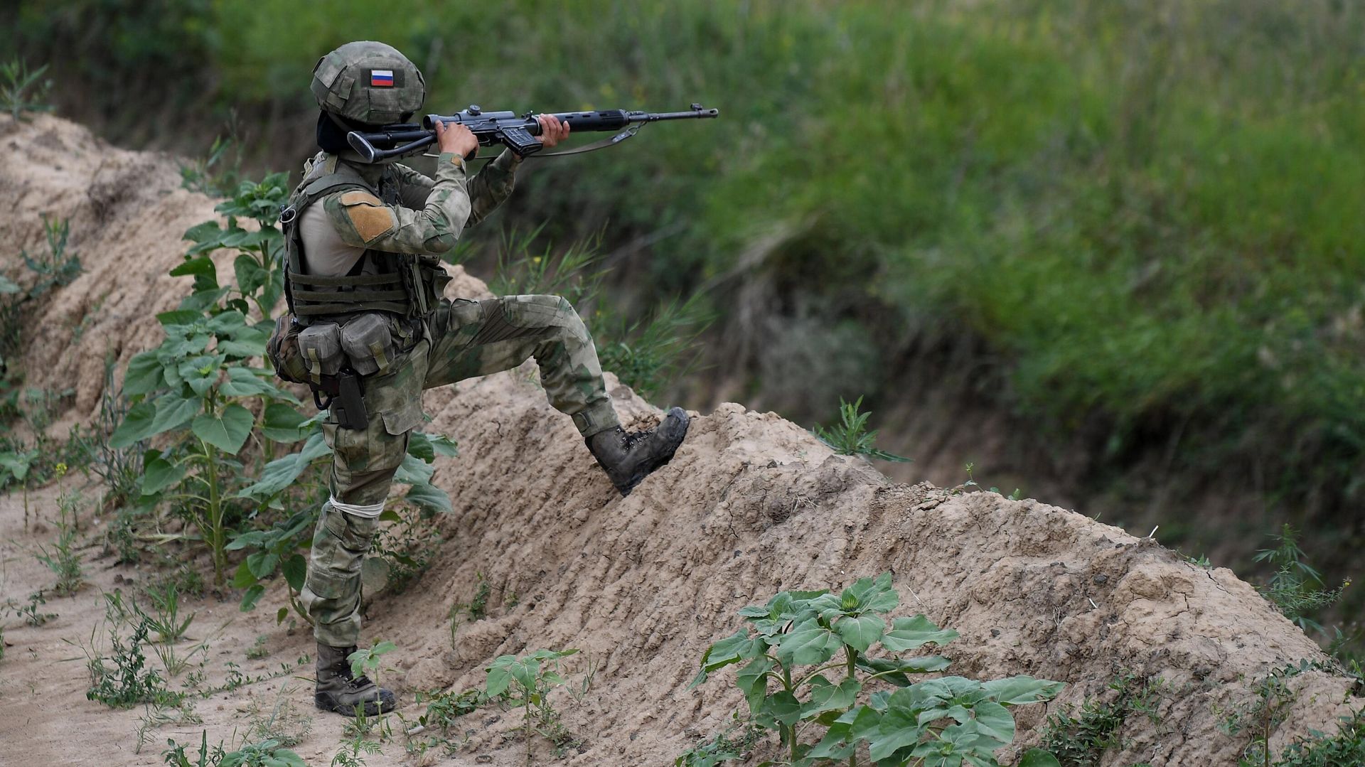 Южный сектор специальной военной операции - РИА Новости, 1920, 31.08.2022