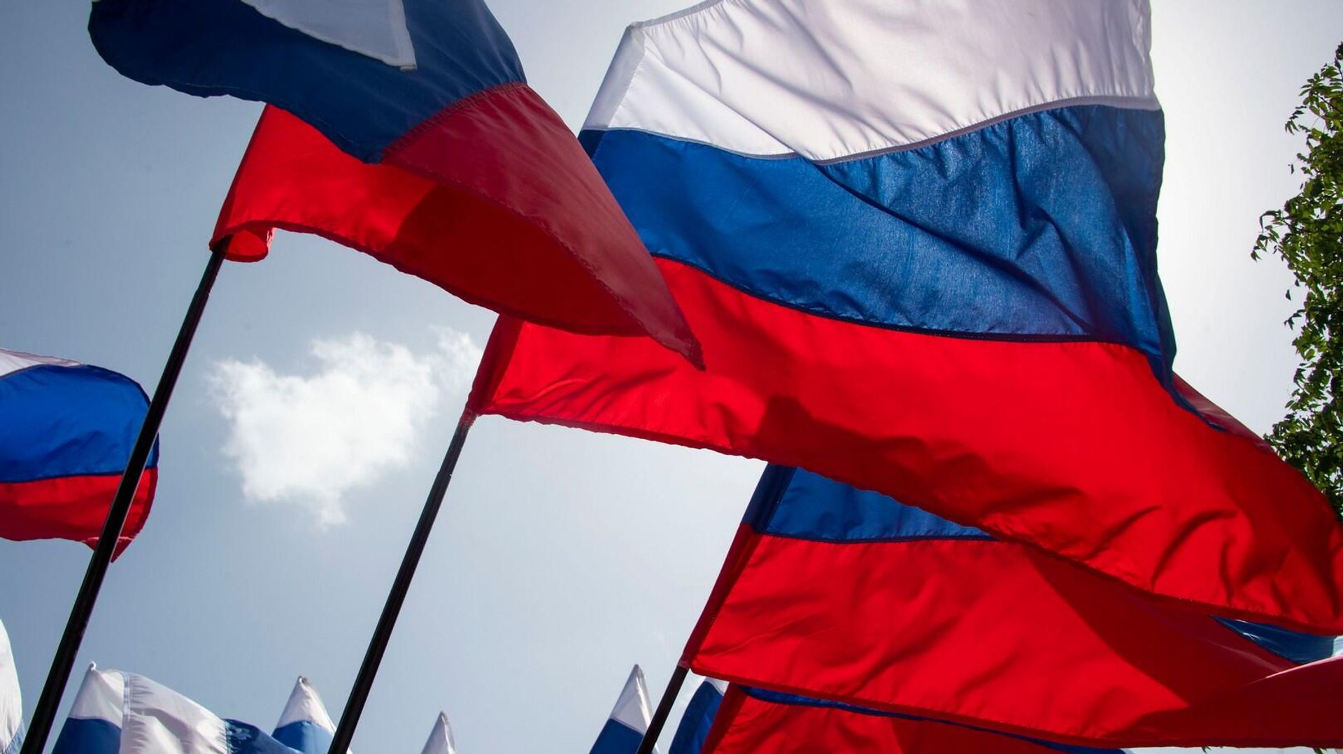Флаг Российской Федерации Флаг Российской Федерации - РИА Новости, 1920, 20.09.2022