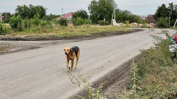 Село в Белгородской области