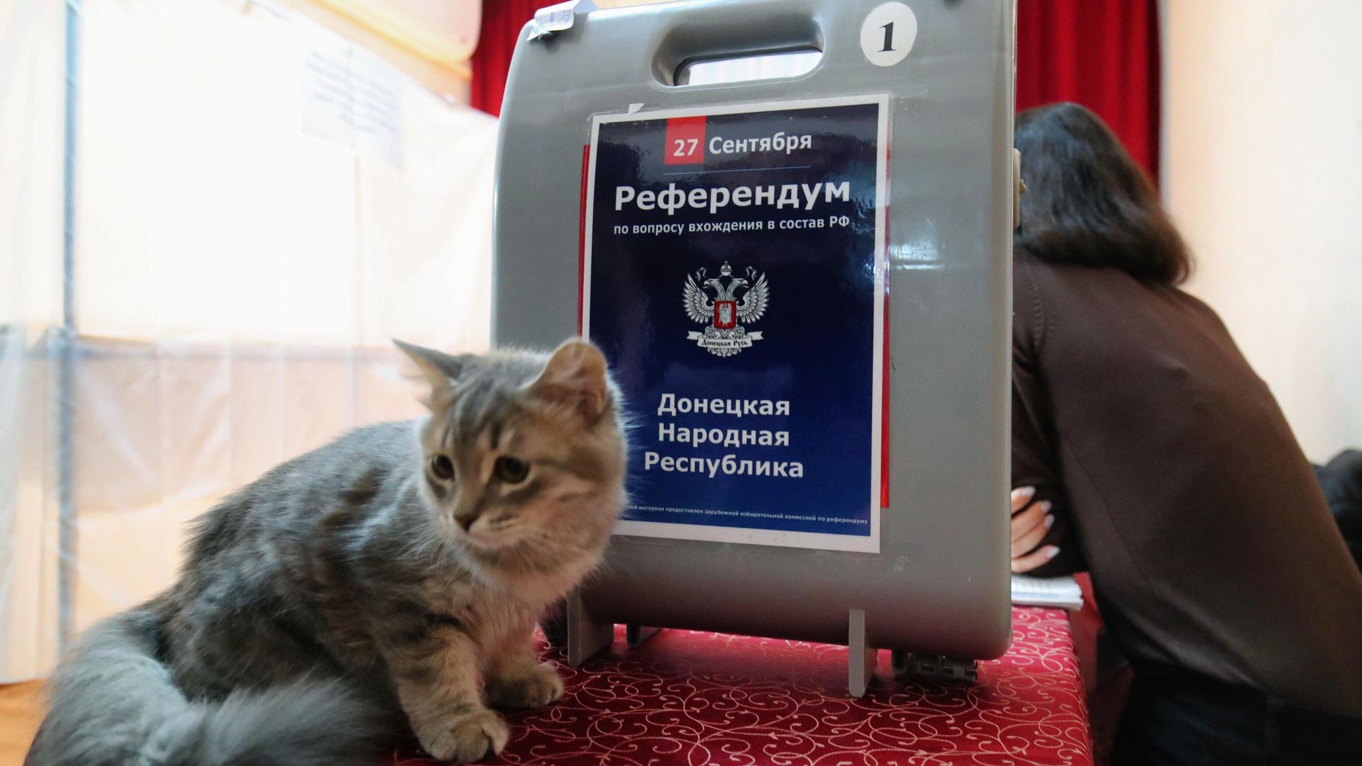 Голосование в городах России на референдумах о присоединении к РФ Голосование в городах России на референдумах о присоединении к РФ - РИА Новости, 1920, 29.09.2022