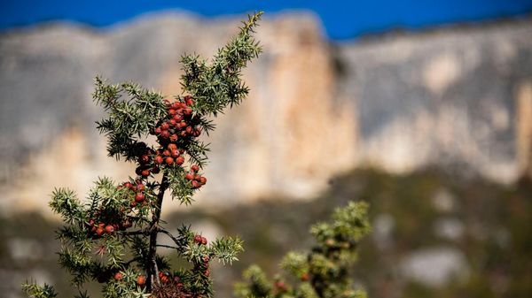 Осень в Бахчисарайском районе Крыма