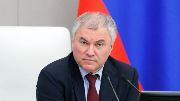Председатель Государственной Думы РФ Вячеслав Володин