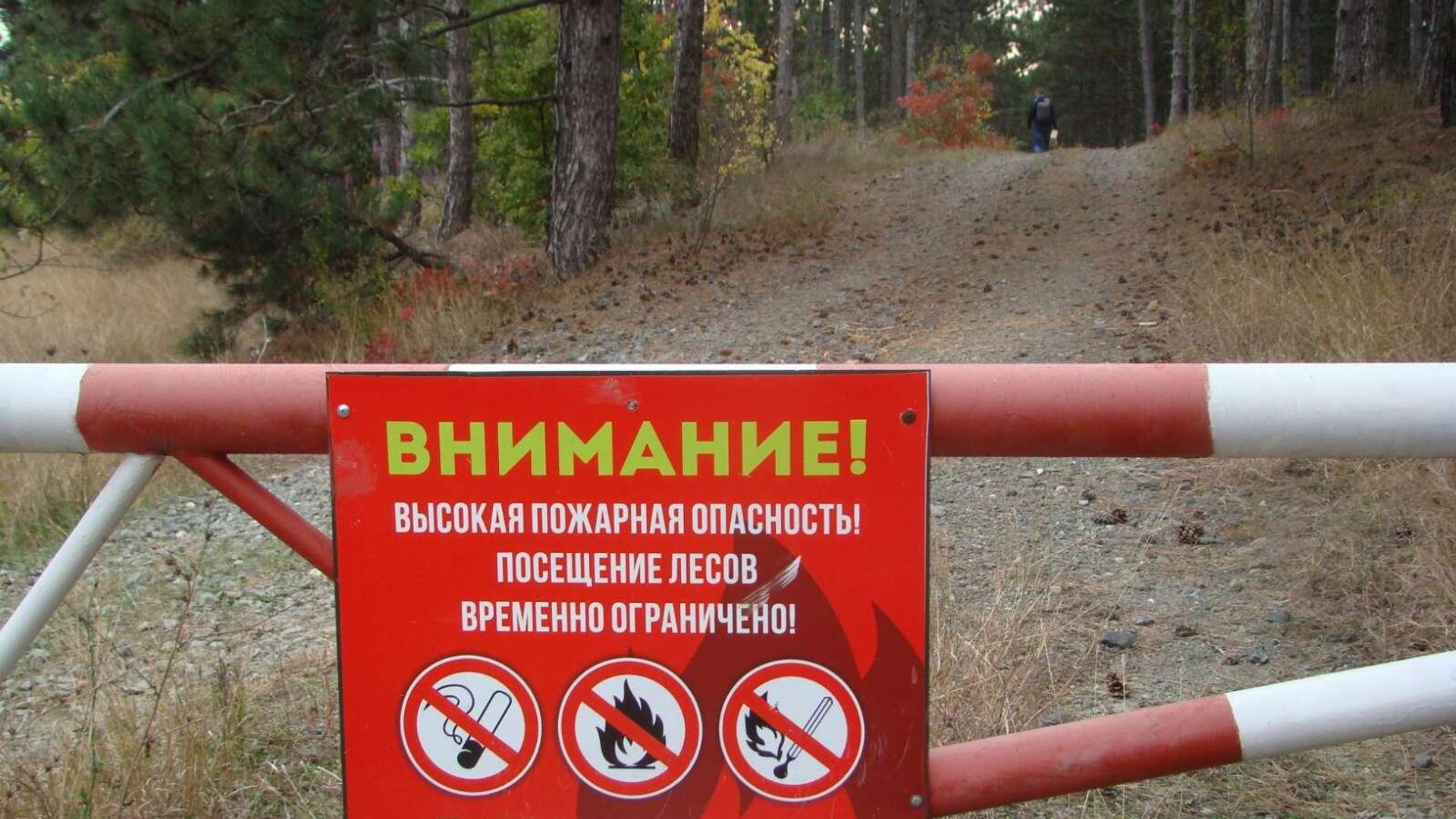 Табличка Внимание на шлагбауме у входа в лесополосу - РИА Новости, 1920, 01.04.2026