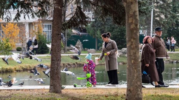 Прогулка в Гагаринском парке в Симферополе Прогулка в Гагаринском парке в Симферополе