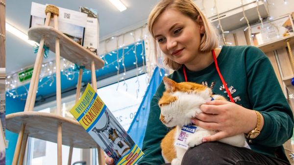 Коту Мостику подарили путеводитель по Севастополю для котов