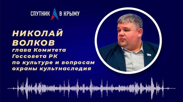 Волков: почему власти не могут привлечь владельца к ответственности за снос дома Краснова