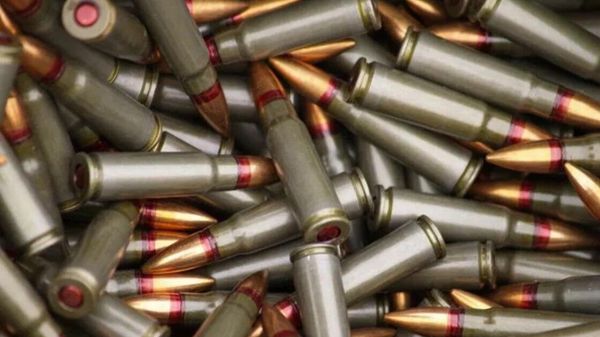 Патроны, найденные в схронах Херсонской области