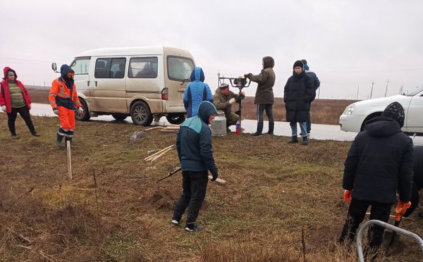 Высадка кипарисов вдоль дороги в Черноморском