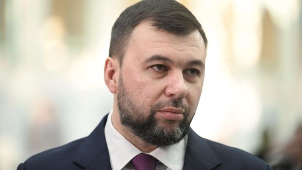 Временно исполняющий обязанности главы Донецкой Народной Республики Денис Пушилин