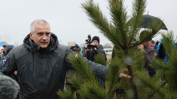 Сергей Аксенов на международной акции Сад памяти