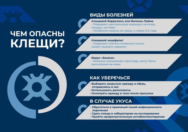 Клещи могут быть переносчиками до 10 разных вирусов - как уберечься Клещи могут быть переносчиками до 10 разных вирусов - как уберечься