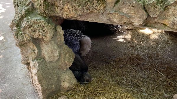 Бахчисарайский парк миниатюр