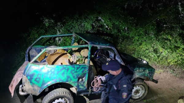 В Бахчисарайском районе Крыма браконьеры убили оленя