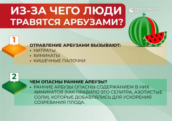 Инфографика. Из-за чего люди травятся арбузами
