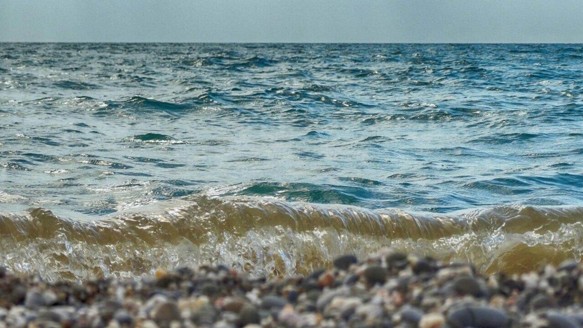 Море - РИА Новости, 1920, 14.07.2023