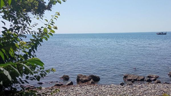 Лето в Крыму