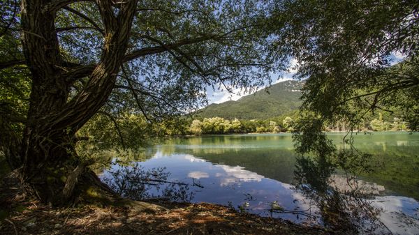 Водохранилище озерного типа Юбилейное