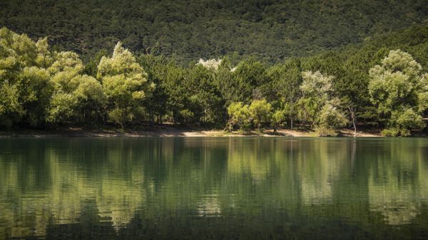 Водохранилище озерного типа Юбилейное