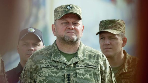 Валерий Залужный 