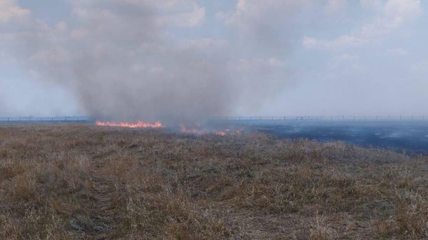 Пожар в заповеднике Аскания Нова