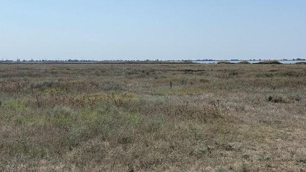 Село Молочное, в котором выделили 165 земельных участков для участников СВО