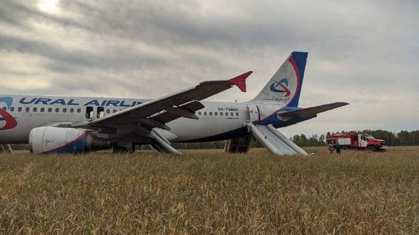 Самолет Сочи-Омск после аварийной посадки в поле