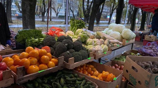 Сельскохозяйственная ярмарка