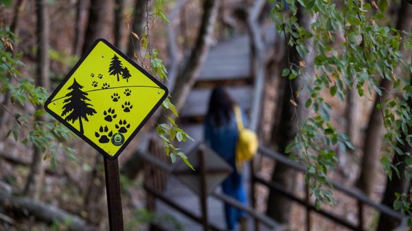 Экологические тропы в Бахчисарайском районе Крыма