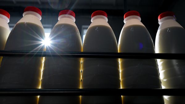 Производство молочной продукции