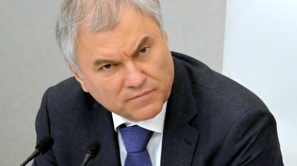Председатель Государственной Думы РФ Вячеслав Володин 