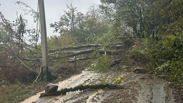 На территории Сочинского национального парка сошел оползень