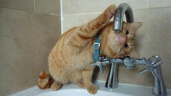 Отключение воды