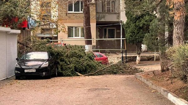 Штормовой ветер в Алуште