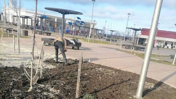В парке Победы в Севастополе убирают зеленую зону от раствора