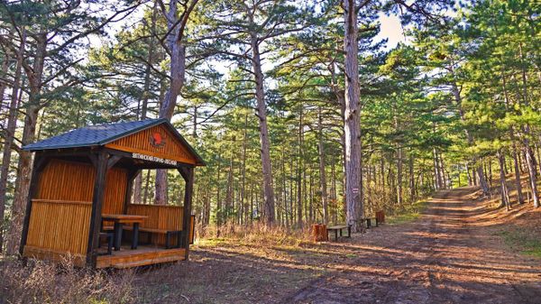 Ялтинский горно-лесной заповедник в Крыму