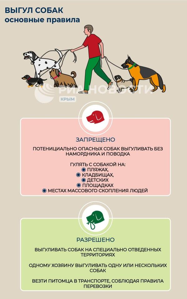 Основные правила выгула собак