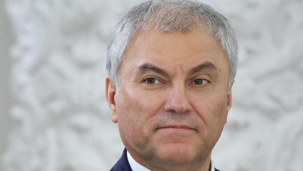 Председатель Государственной Думы РФ Вячеслав Володин