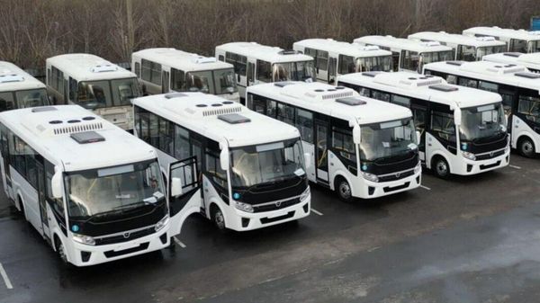 Новые автобусы встанут на междугородние маршруты Донбасса