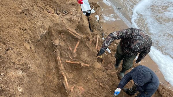 Останки восьми советских бойцов найдены под Керчью после обрушения берега из-за шторма
