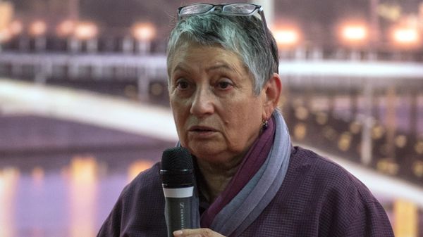Писательница Людмила Улицкая*