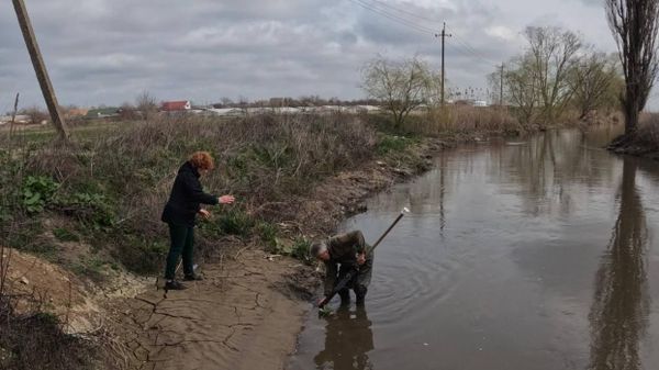 В Салгире обнаружили токсичные вещества – ученые ищут их источник
