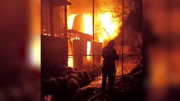 Пожар в контактном зоопарке Евпатории