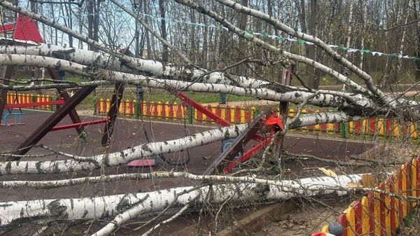 В Подмосковье дерево упало на трехлетнюю девочку на детской площадке