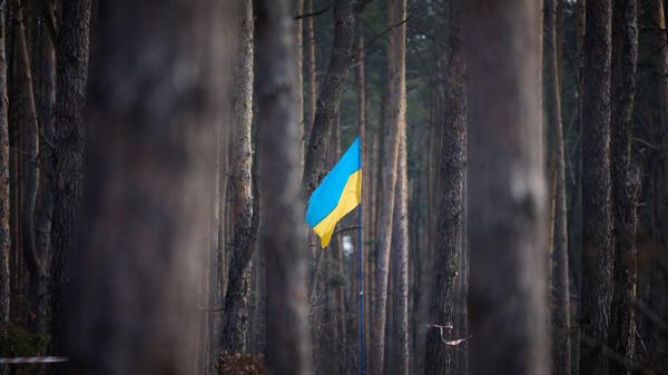 Флаг Украины