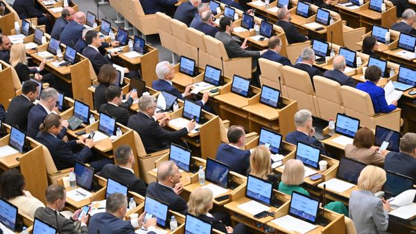 Пленарное заседание Госдумы РФ