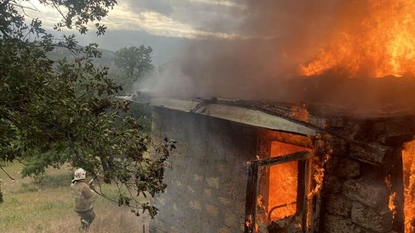 Пожарные в Крыму спасли лесополосу от пожара