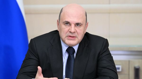Премьер-министр РФ М. Мишустин 