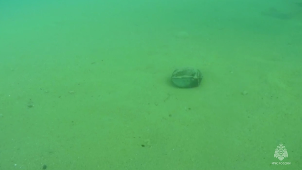 Водолазы МЧС обнаружили неразорвавшийся кассетный боеприпас в море после атаки ВСУ на Севастополь Водолазы МЧС обнаружили неразорвавшийся кассетный боеприпас в море после атаки ВСУ на Севастополь